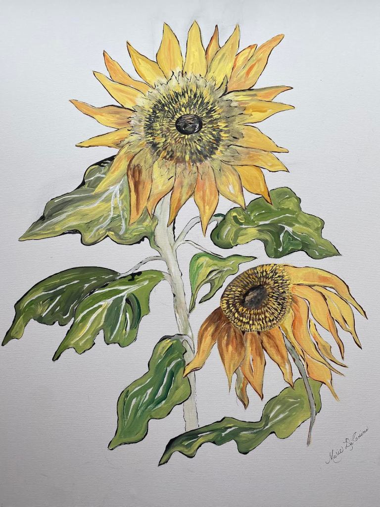 Painting of two bright yellow sunflowers with green leaves on a white background